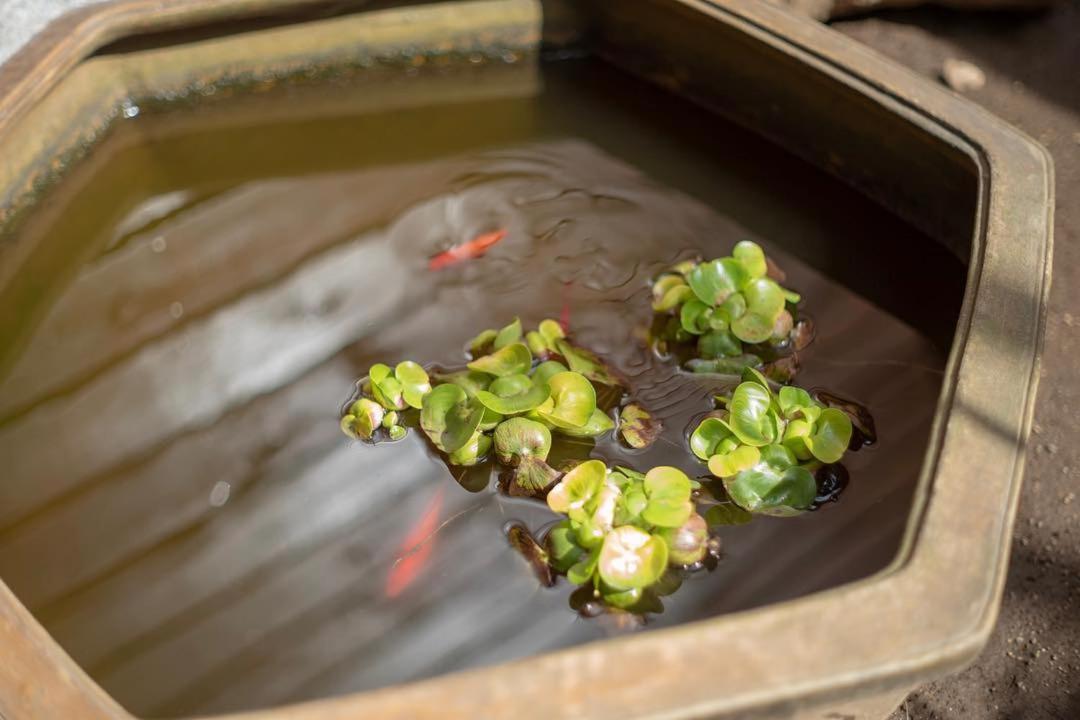Ryokan Inami Mito (Ibaraki) Bagian luar foto